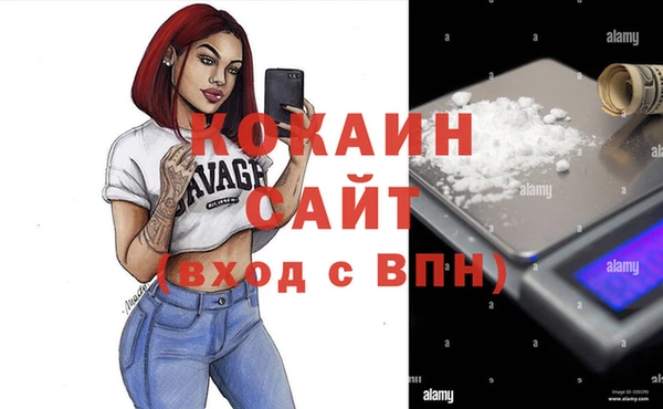 mix Богородицк